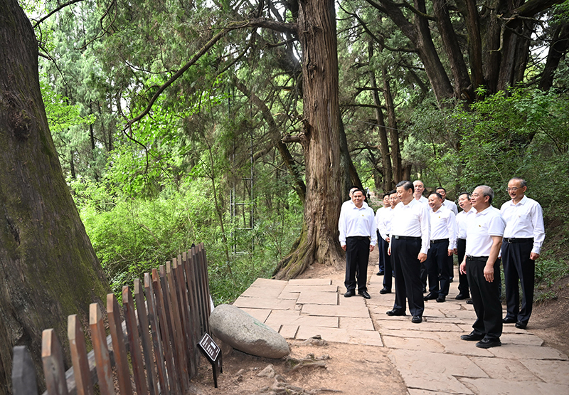 7月25日至27日，中共中央總書記、國(guó)家主席、中央軍委主席習(xí)近平在四川考察。這是25日下午，習(xí)近平在廣元市劍閣縣翠云廊考察。